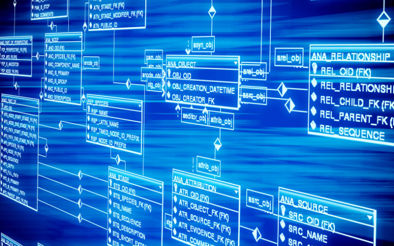 Database software interface and server infrastructure